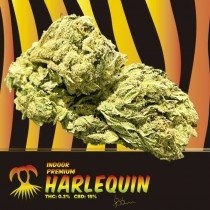 Harlequin CBD Indoor ( 3gr )