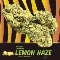 Lemon Haze CBD Indoor ( 3gr )