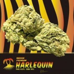 Harlequin CBD Indoor ( 3gr )